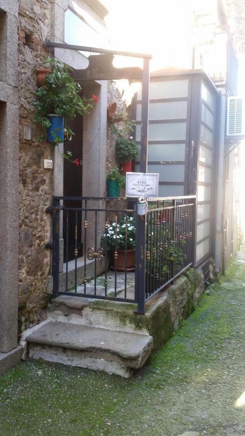 Il Vico Daire Serra San Bruno Dış mekan fotoğraf